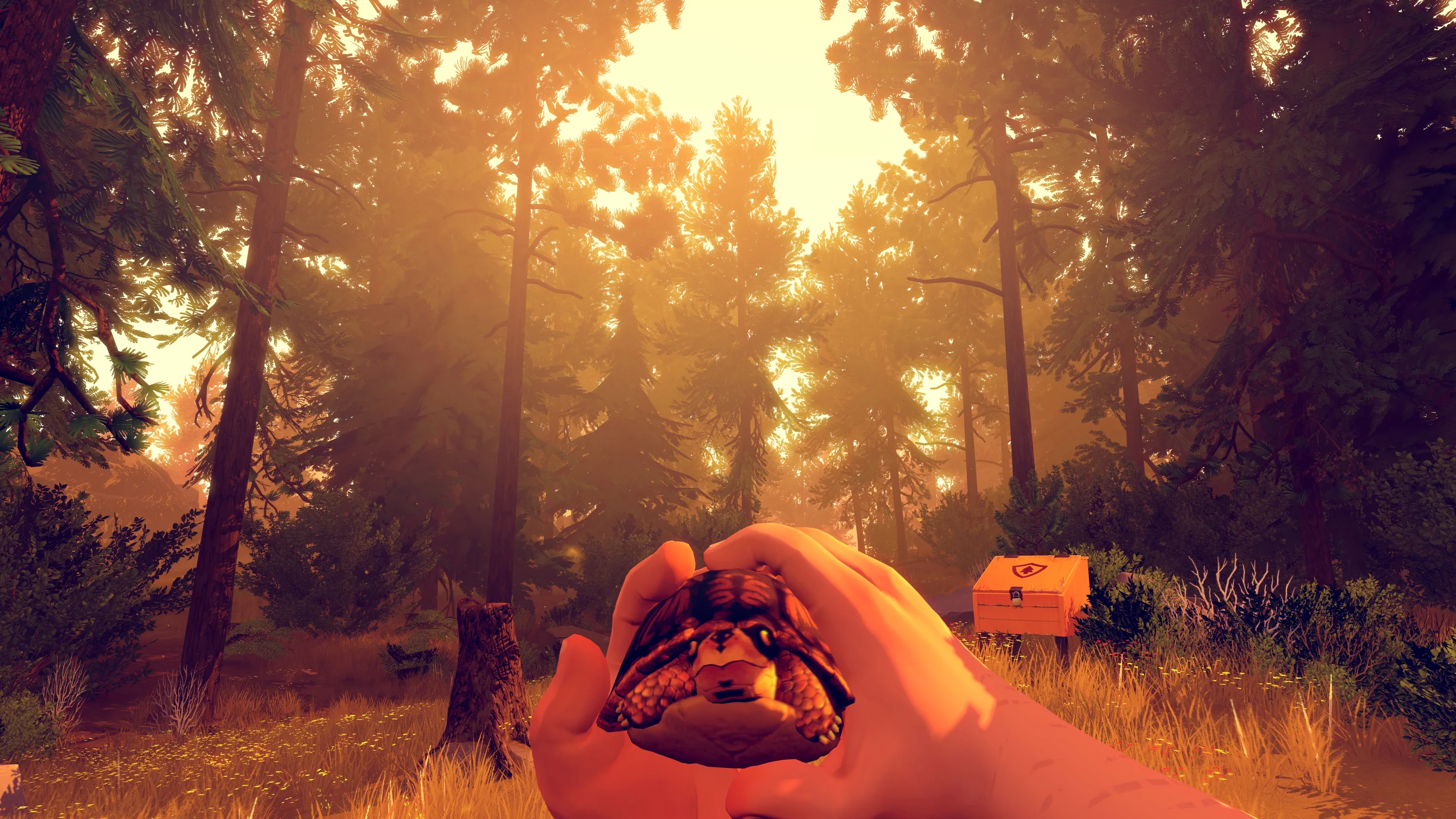 Firewatch official gameplay image 3